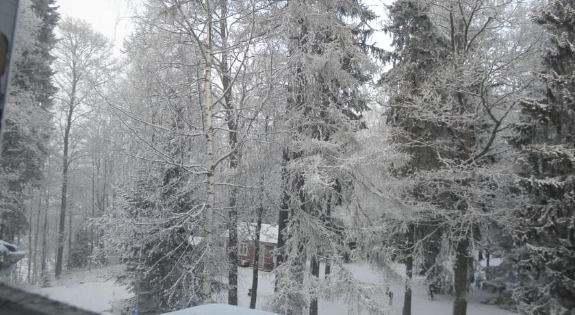 Neitsytniemen Kartano Bed and Breakfast Imatra Kamer foto