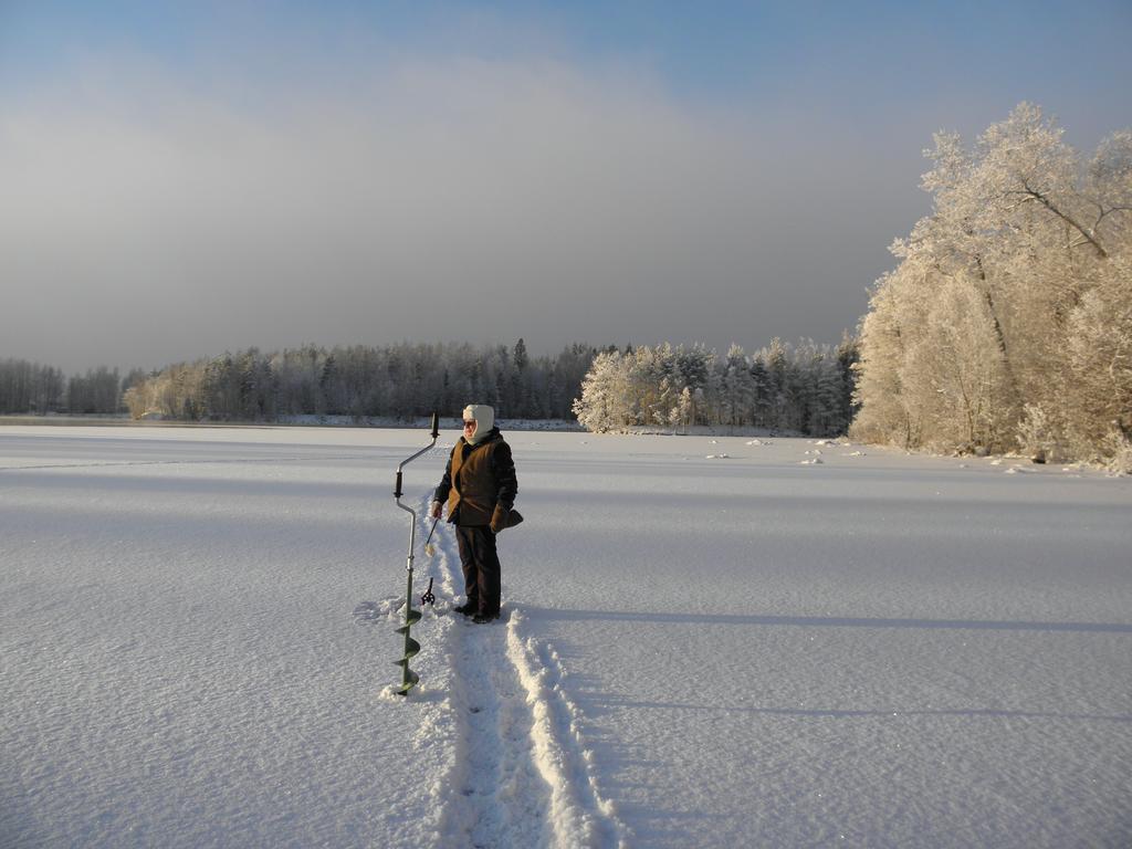 Neitsytniemen Kartano Bed and Breakfast Imatra Buitenkant foto
